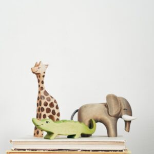Safari Animal Set